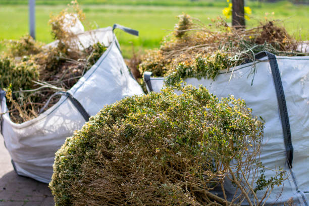 Best Garage Cleanout  in Telford, TN