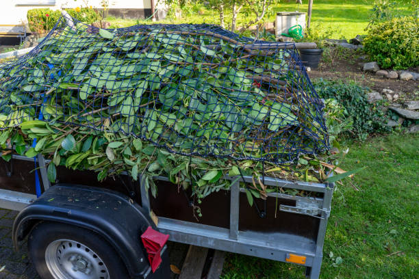 Best Retail Junk Removal  in Telford, TN